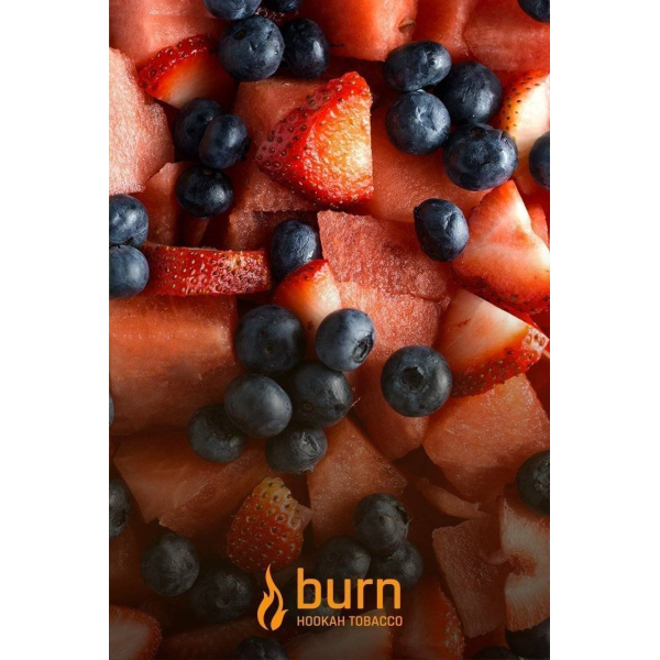 Табак Burn Berried Treasure 100 грамм в Севастополе