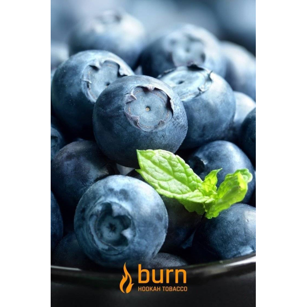 Табак Burn Blueberry Mint 100 грамм в Севастополе