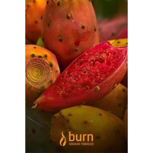Табак Burn Cactus 100 грамм в Севастополе