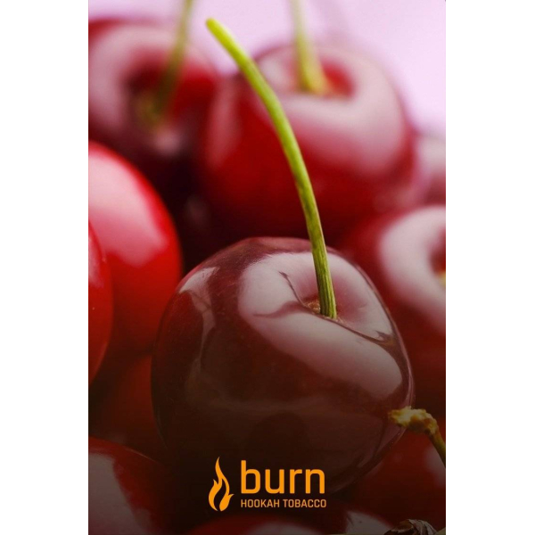 Табак Burn Candy Cherry 100 грамм в Севастополе