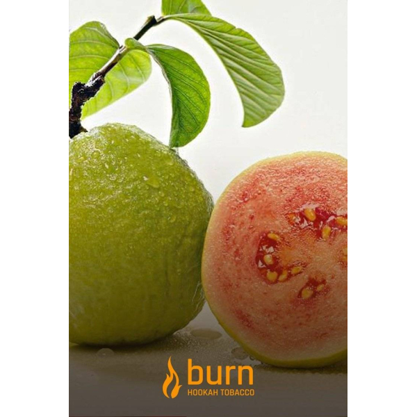 Табак Burn Guava 100 грамм в Севастополе