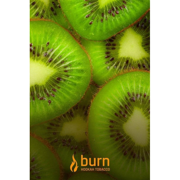 Табак Burn Kiwi 100 грамм в Севастополе