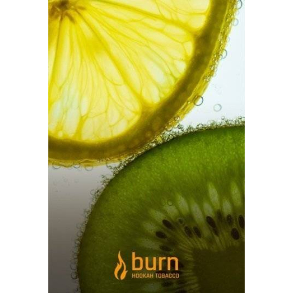 Табак Burn Kiwi Lemon 100 грамм в Севастополе