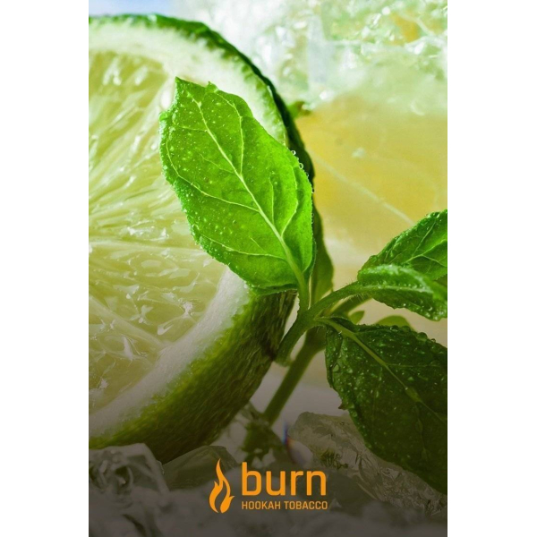 Табак Burn Lemon Mint 100 грамм в Севастополе
