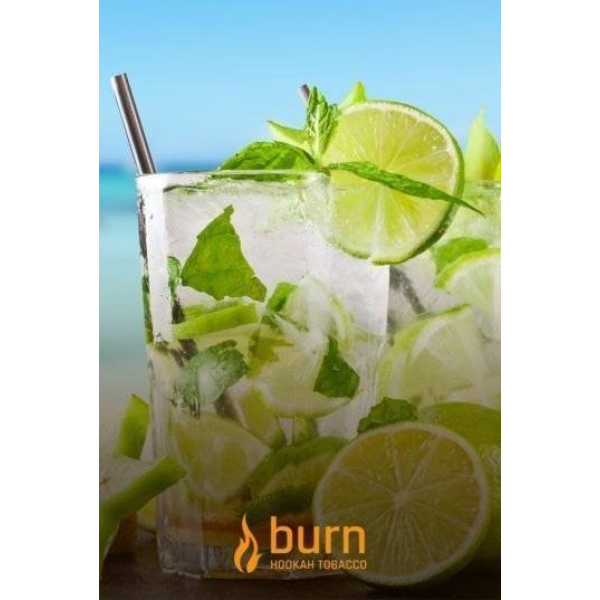 Табак Burn Mojito 100 грамм в Севастополе