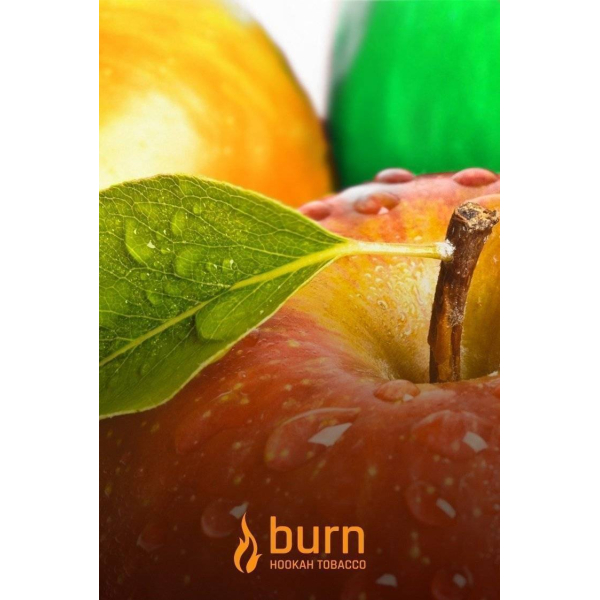 Табак Burn Three Apples 100 грамм в Севастополе