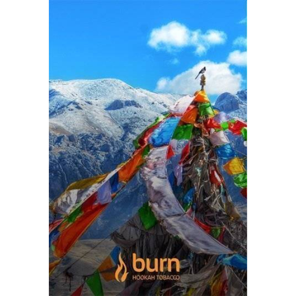 Табак Burn Tibet 100 грамм в Севастополе