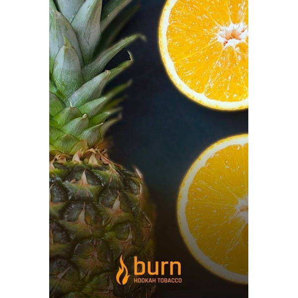 Табак Burn White Night 100 грамм в Севастополе