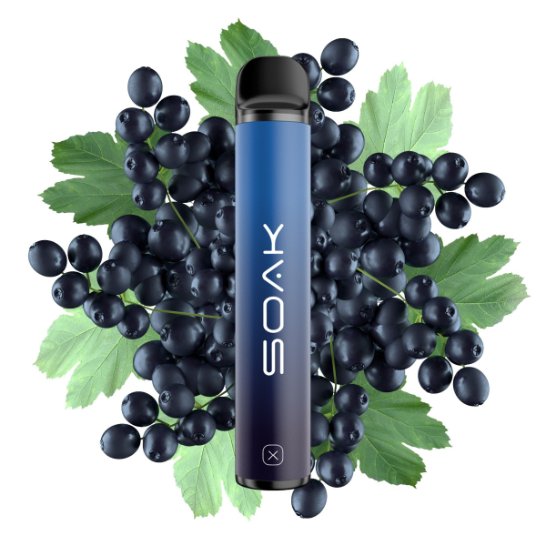 SOAK X Forest Blackcurrant (Лесная черная смородина), 1500 тяг в Севастополе