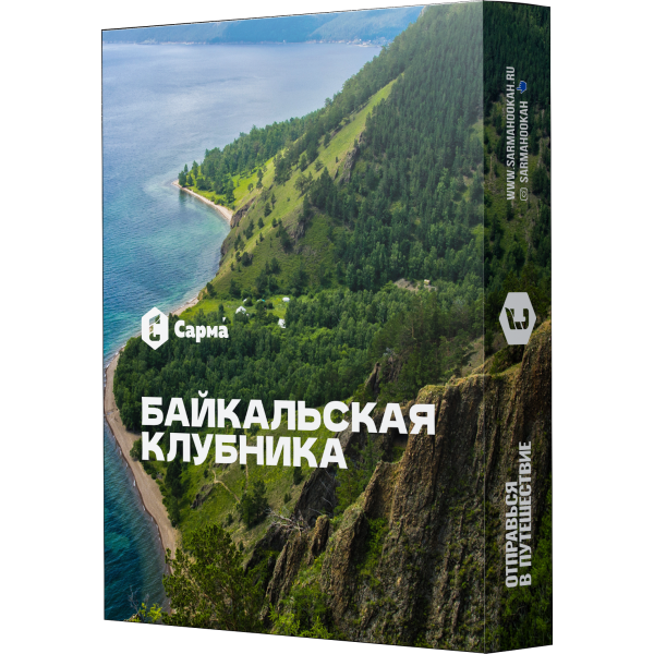 Табак Сарма Байкальская Клубника 25 гр в Севастополе