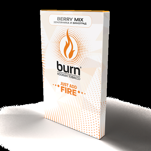 Табак Burn Berry Mix  100 грамм в Севастополе